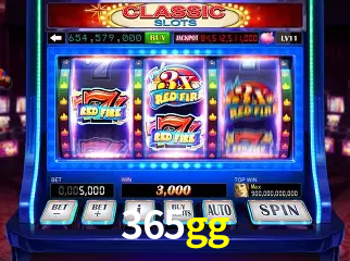 cassino 365gg