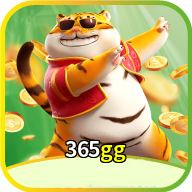 365gg
